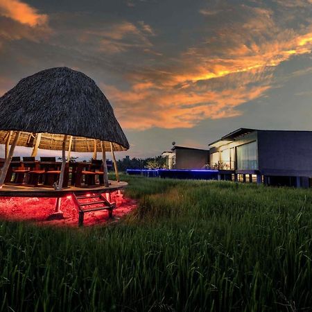 Blue Wild - Yala - Plastic Free & Sustainable Тисамахарама Екстериор снимка