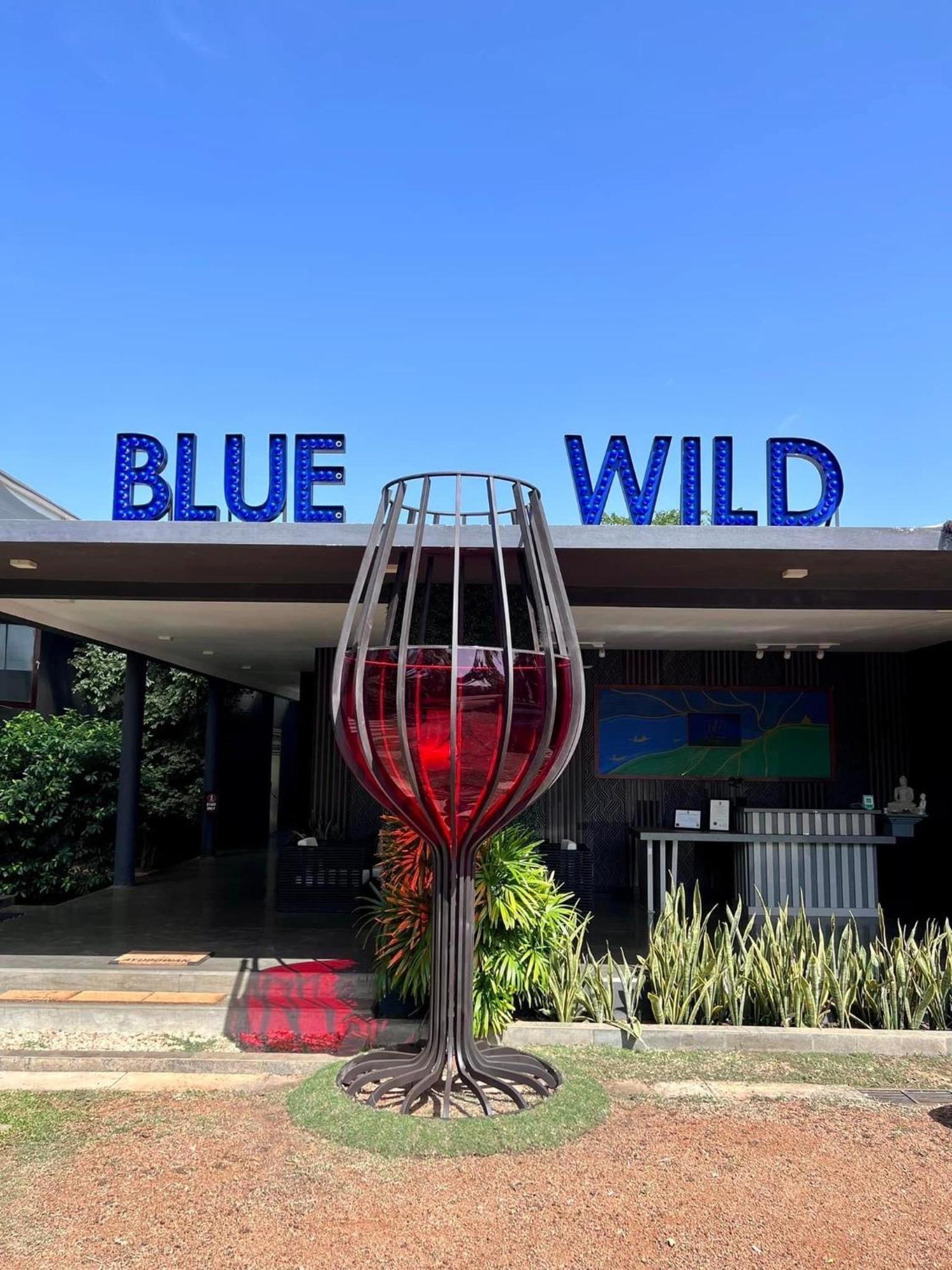 Blue Wild - Yala - Plastic Free & Sustainable Тисамахарама Екстериор снимка